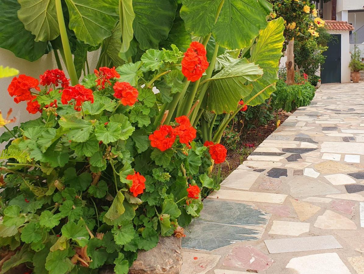 Alloggio in famiglia Casitas *